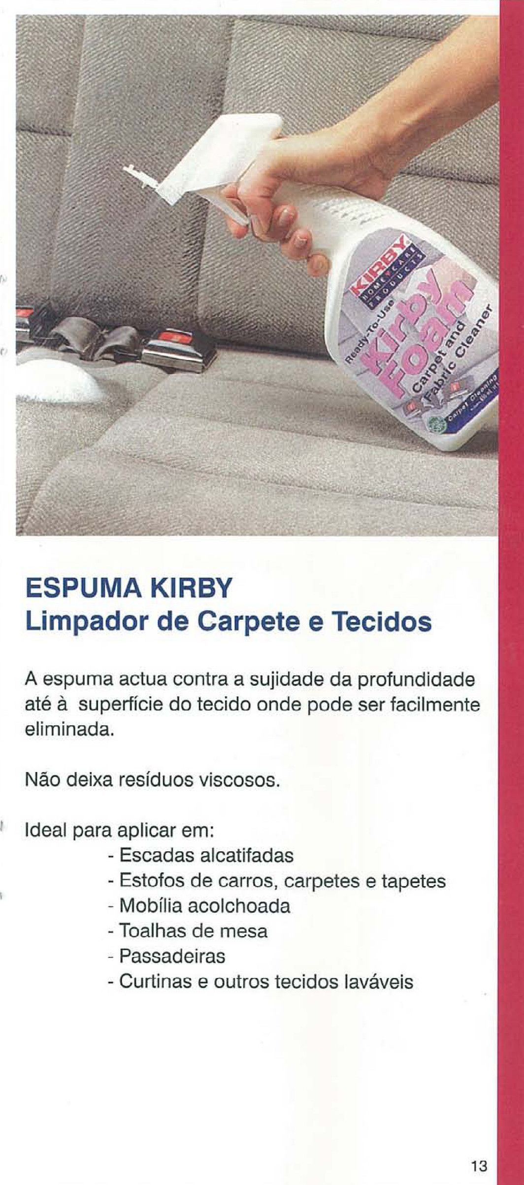 Kirby Foam Carpet & Fabric Cleaner